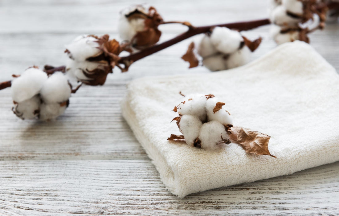 8 Reasons To Shop Organic Cotton