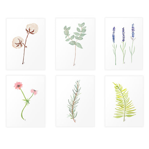 Botanical Prints Set