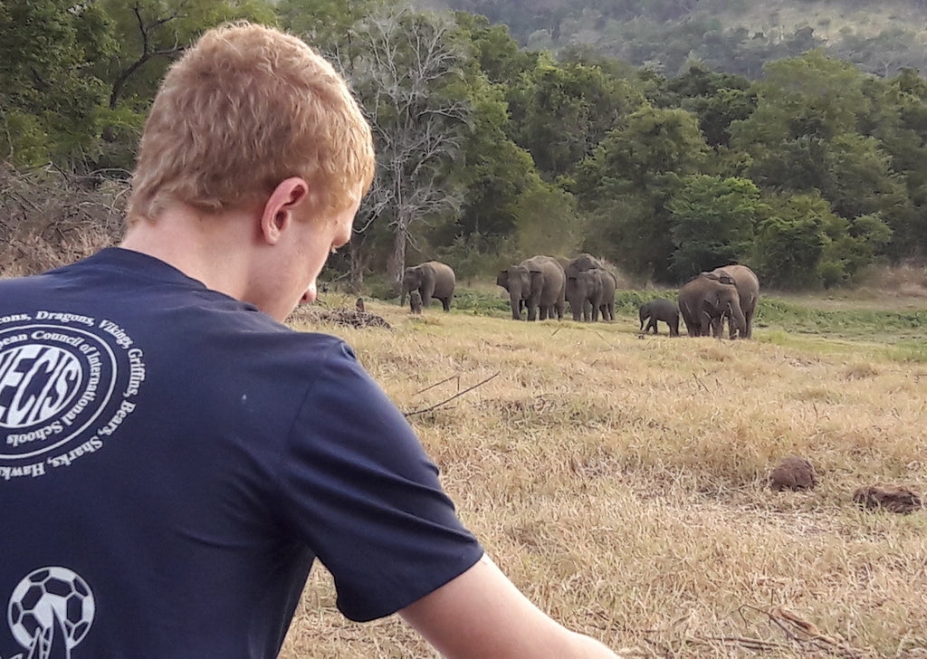 Volunteer in Sri Lanka - Work With Elephants
