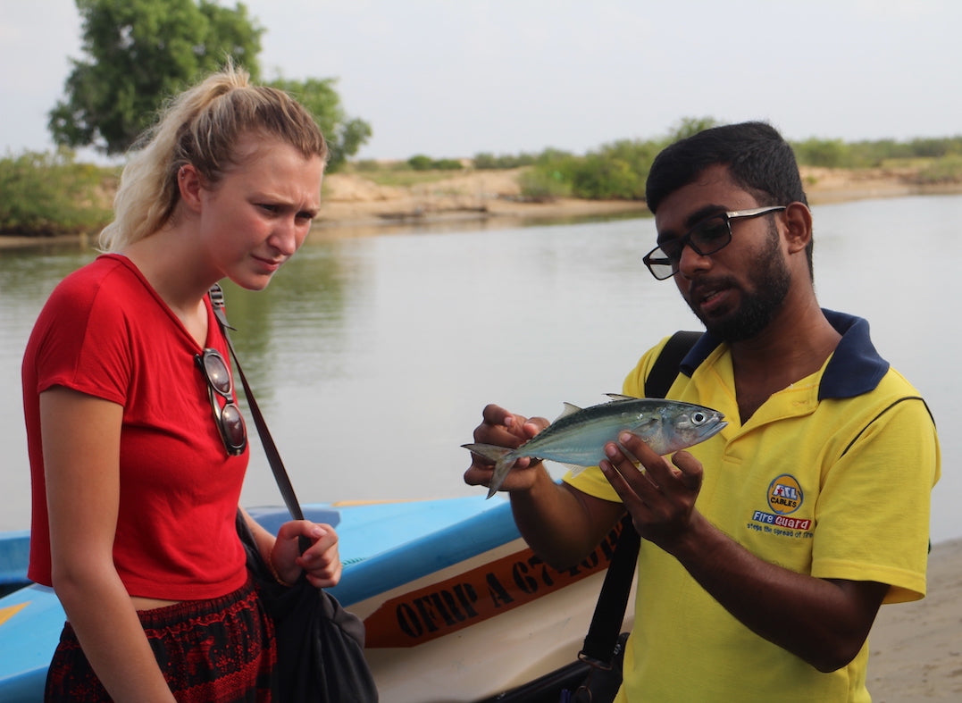 Volunteer in Sri Lanka - Marine Project