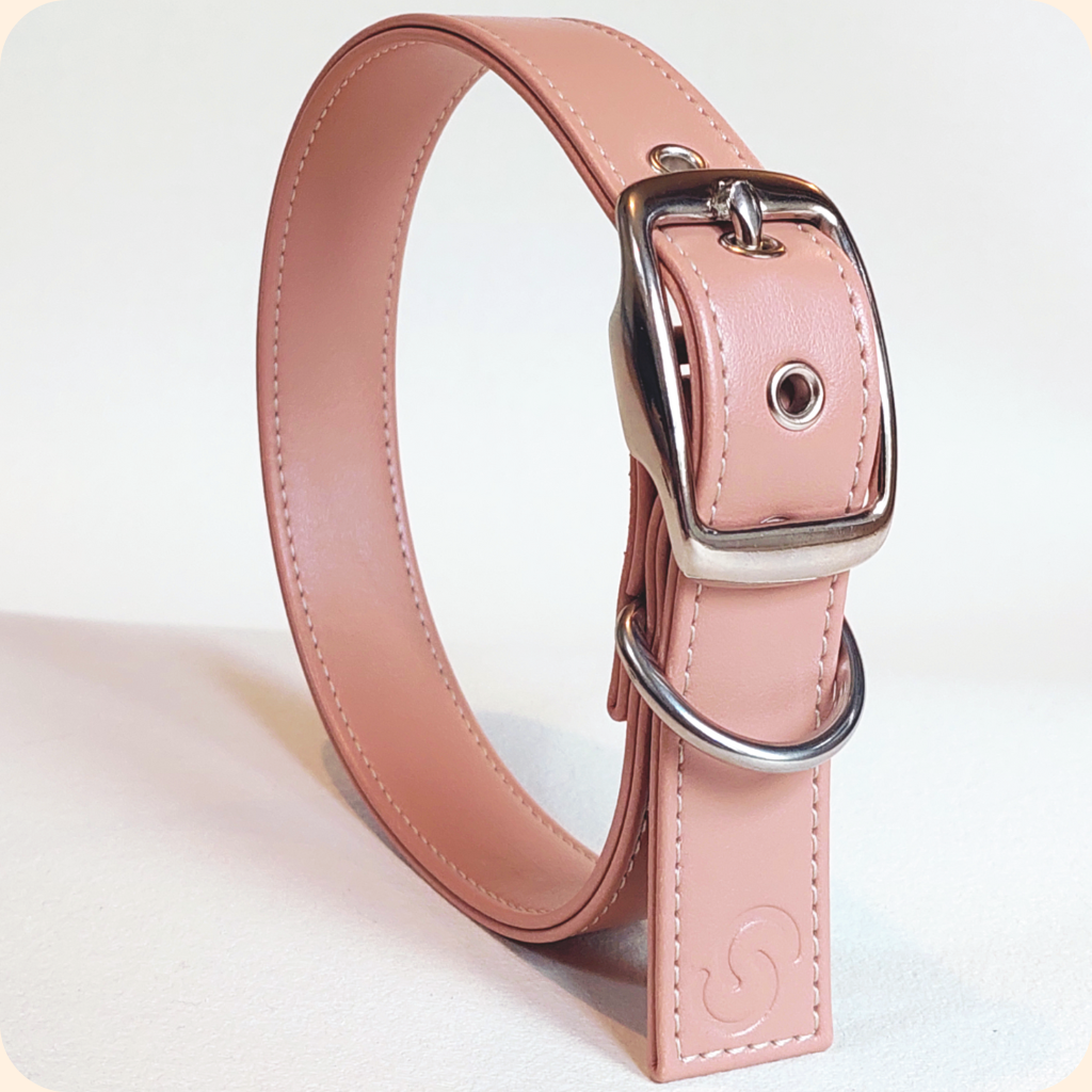 Blush Pink Vegan Apple Leather Dog Collar