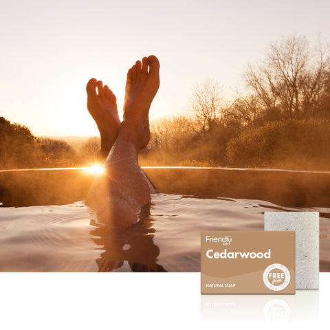 Cedarwood Natural Soap 12 Pack