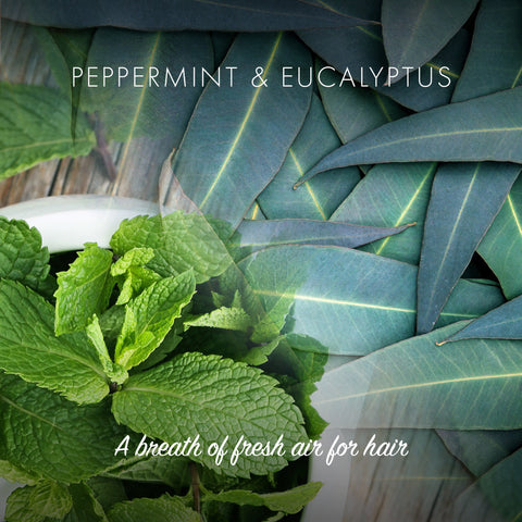 peppermint & eucalyptus - a breath of fresh air for hair