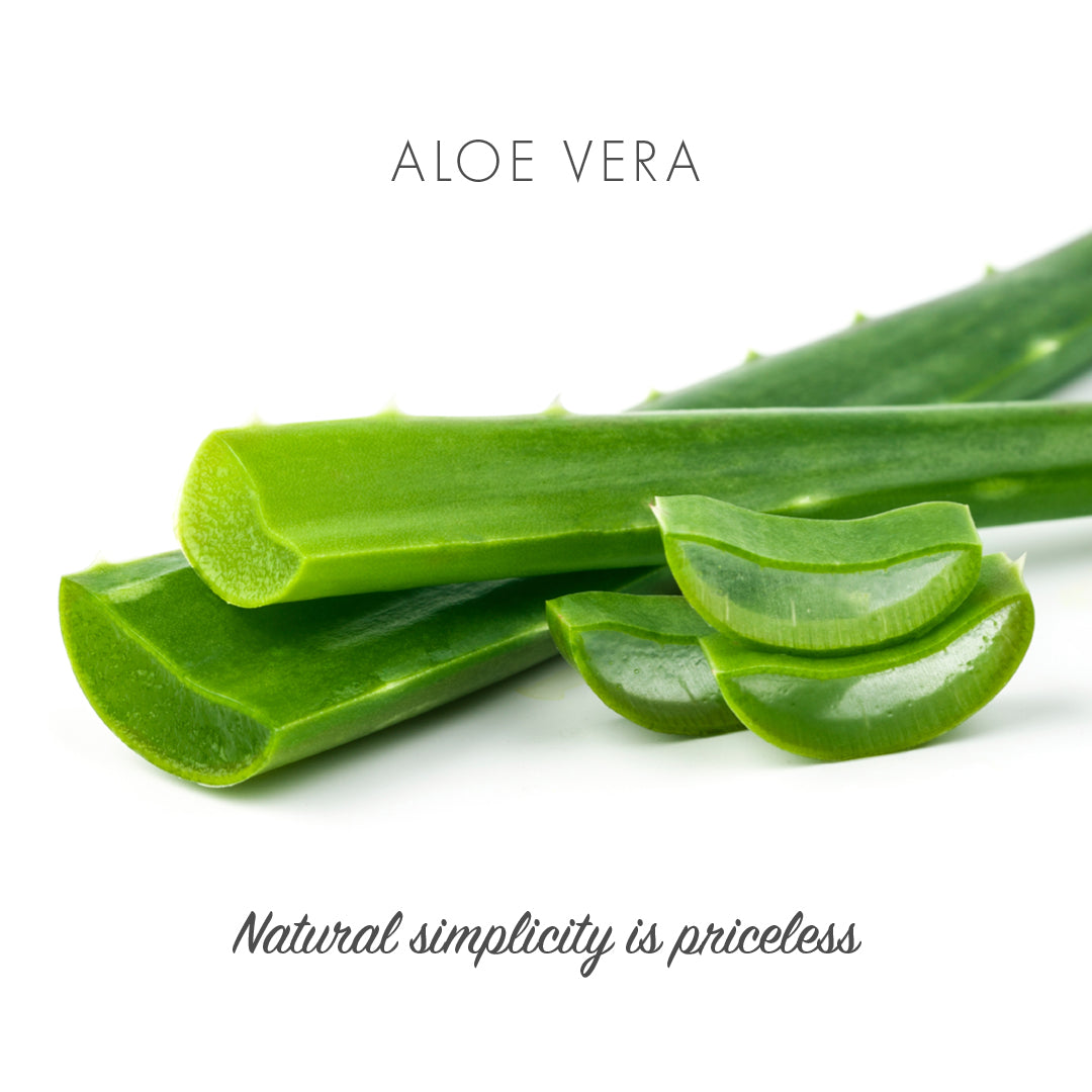 Friendly Soap - Aloe Vera - Fragrance Free - Natural Soap - Natural simplicity is priceless