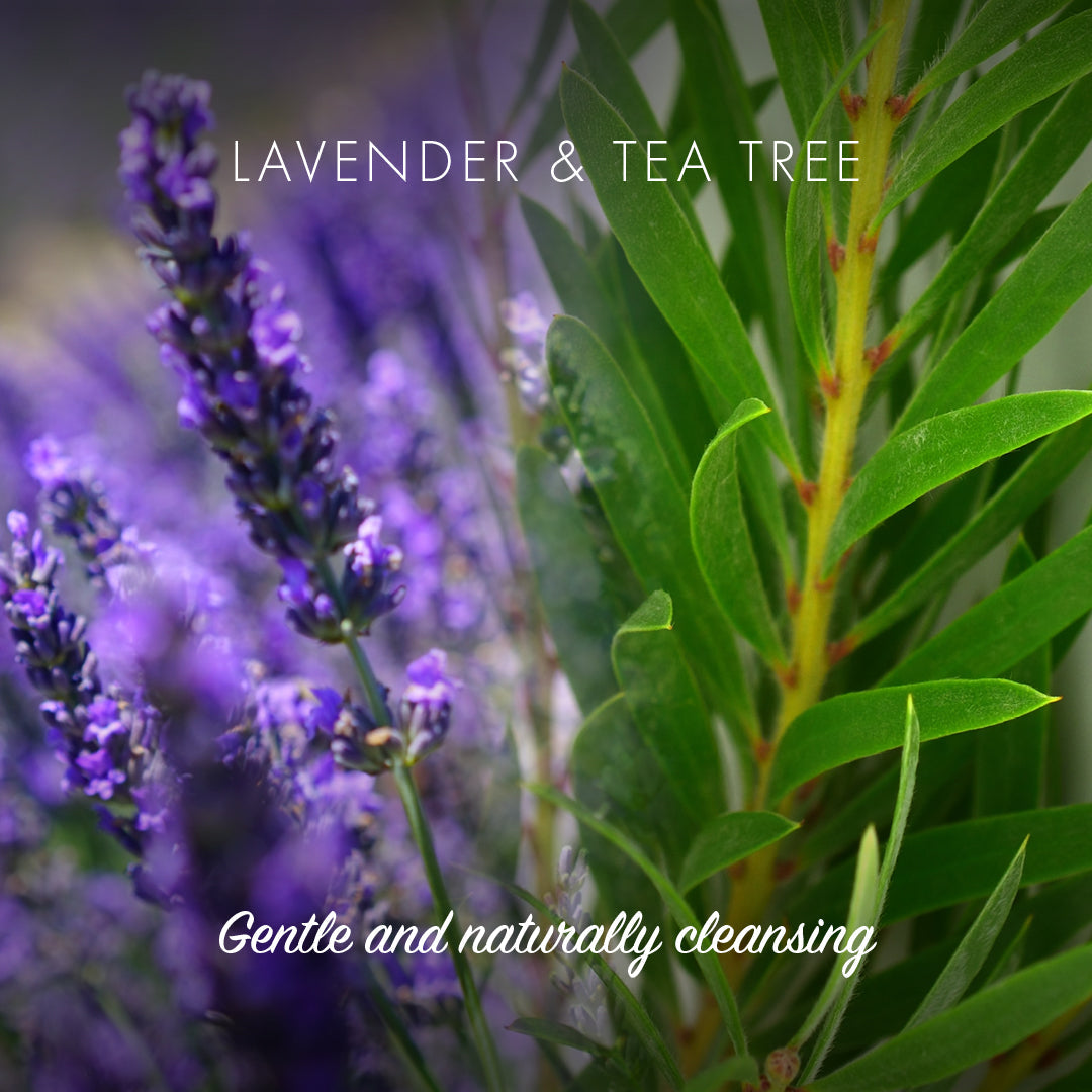 Lavender & Tea Tree - Gentle and naturally cleansing