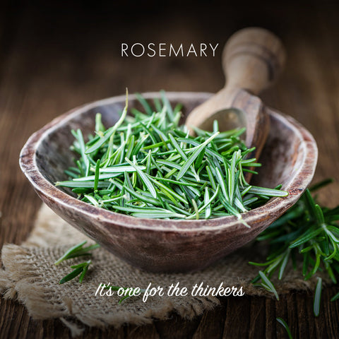 Friendly Soap - Rosemary -  Natural Soap - It's one for the thinkers