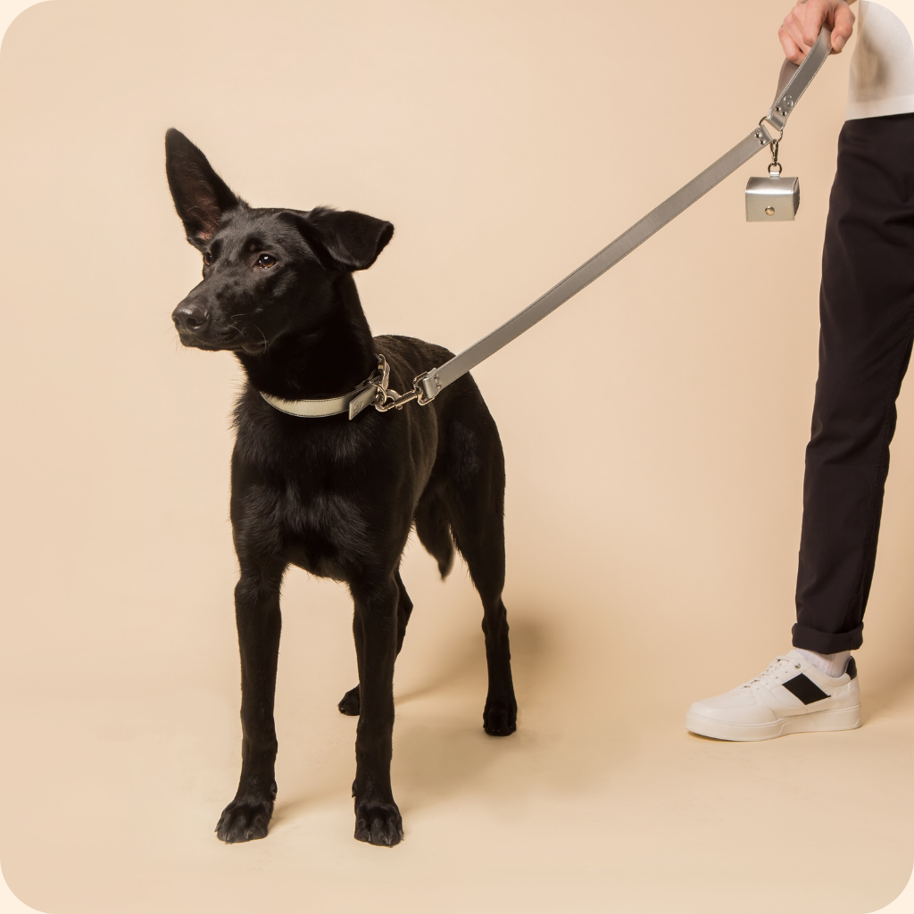 Silver Vegan Apple Leather Medium-Large Dog Lead