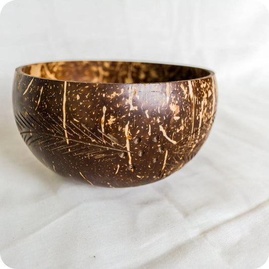 Repurposed Coconut Bowl