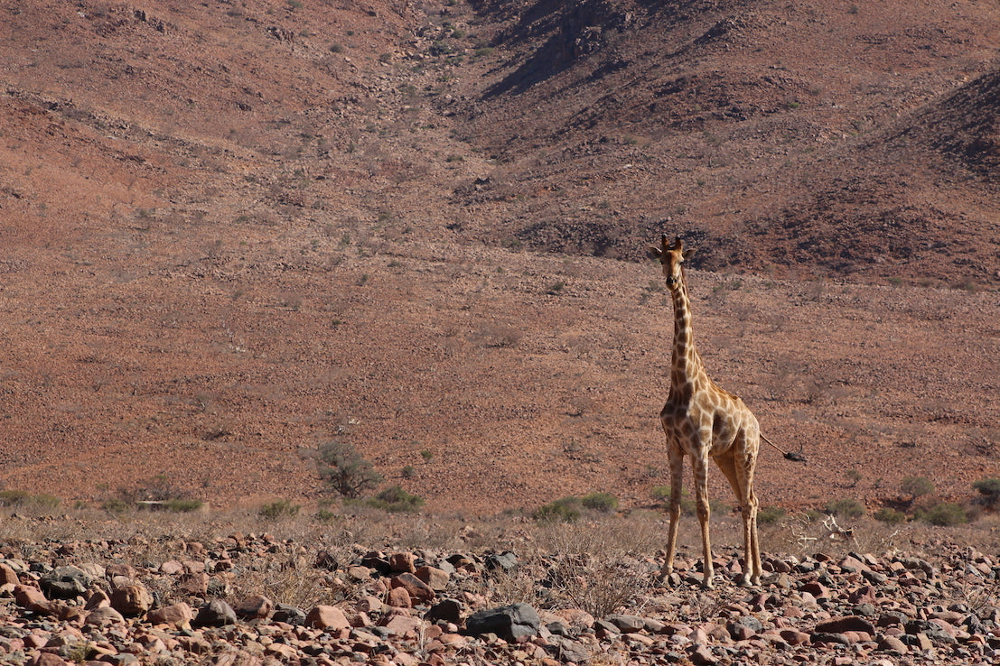 Southern Namibia Adventure
