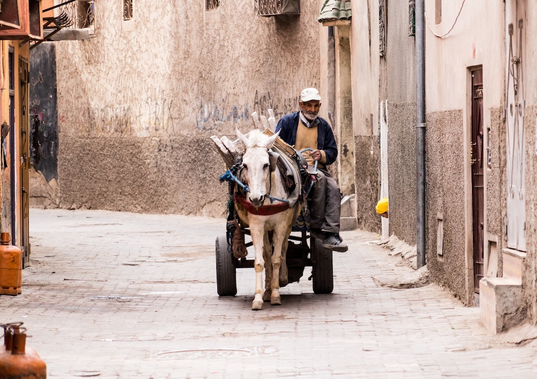 man with donkey cart in Morocco