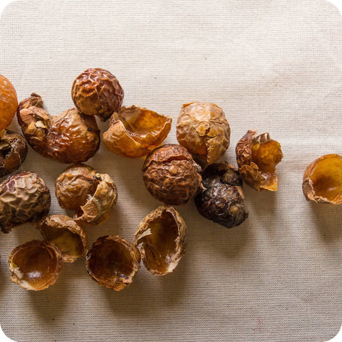 Loose Soapnuts Natural Laundry Detergent