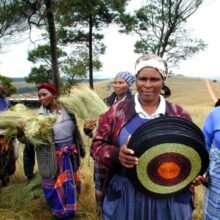 Artisan weaver carrying ethical handwoven placemats with ladies carrying dried sustainably sourced lutindzi grass in the background